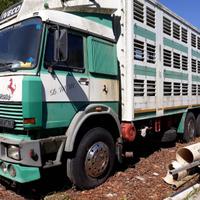 camion bestiame 190.38