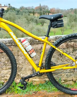 Mountain bike  Marin
