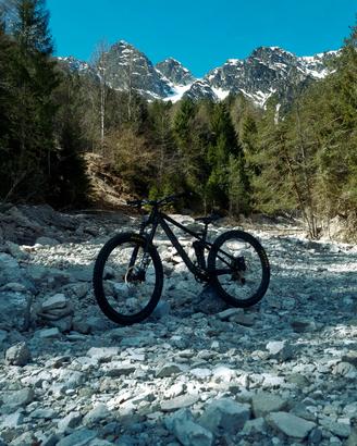 cube s120 race