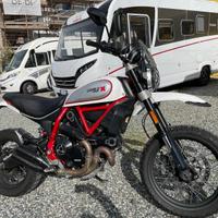 Ducati Scrambler Desert Sled