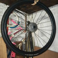 Ruote gravel Axis Elite Disc