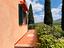 Immagine 9