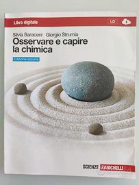 Osservare e capire la chimica