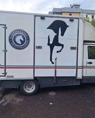 Van trasporto cavalli - patente B