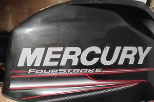Ricambi Mercury 40 cv EFI 4 tempi pro