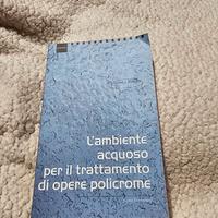 l'ambiente acquoso per il trattamento di opere pol
