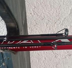 canna veret ibryda