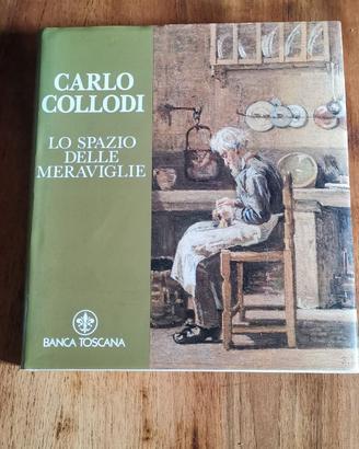 Libro Carlo Collodi: lo spazio delle meraviglie