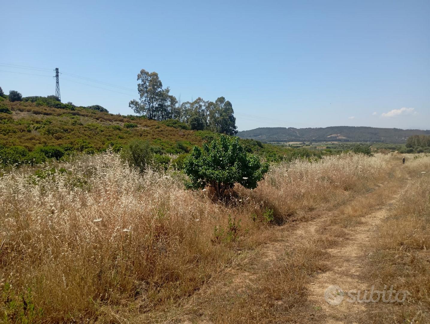 Donori: Terreno agricolo Località Sa Roja Fridrigu - Altro