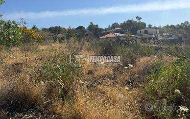 TERRENO AGRICOLO