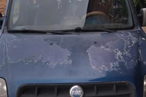 doblo gpl