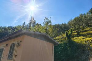 Terreno collinare con olivi e fabbricato