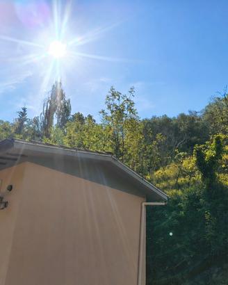 Terreno collinare con olivi e fabbricato