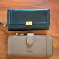 2 Portafogli marca Carpisa