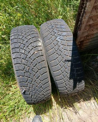 Pneumatici Tass. 205 55 R16 91H Polaris Malatesta