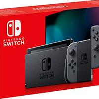 Nintendo switch grey