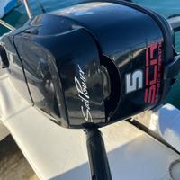 Mercury 5cv sail power