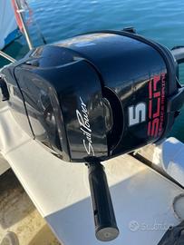 Mercury 5cv sail power