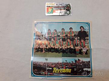 Figurine Panini TERNANA 1974/75 scudetto+squadra