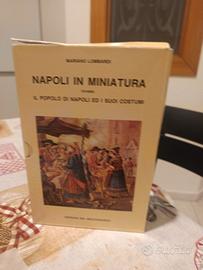napoli in miniatura 