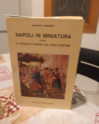 napoli in miniatura 