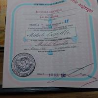 quadro litografia Michele CascellA