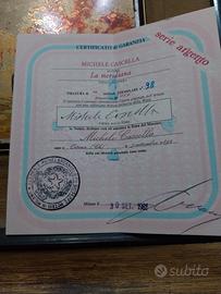 quadro litografia Michele CascellA