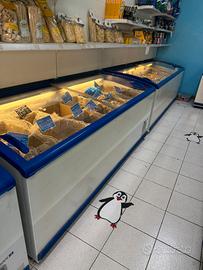 Congelatore pozzetto