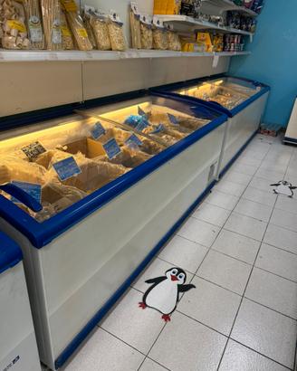 Congelatore pozzetto