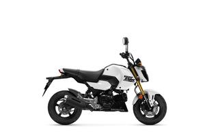 Honda MSX 125 GROM pronta consegna