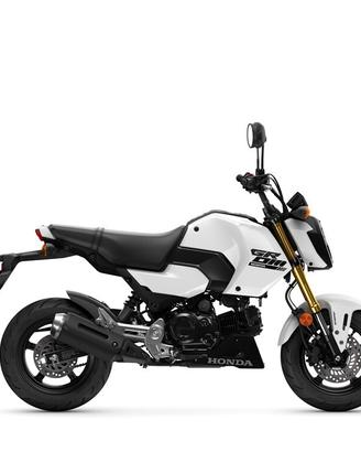 Honda MSX 125 GROM pronta consegna
