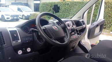 Van trasporto cavalli fiat Ducato 250000 km