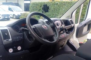 Van trasporto cavalli fiat Ducato 250000 km