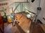 Immagine 1