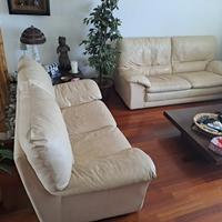 Divani in vera pelle by Natuzzi.                  