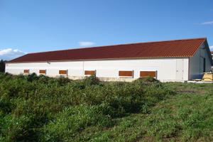 Terreni coltivati ad uliveto e 2 capannoni