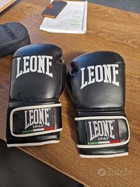 Guantoni 14 once Leone