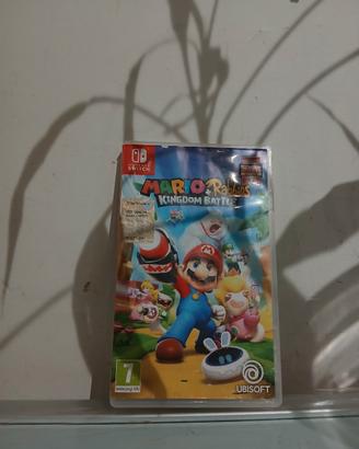 Super Mario Rabbits
