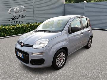 FIAT Panda 1.0cc Firefly 70cv s&s Hybrid 5 Posti