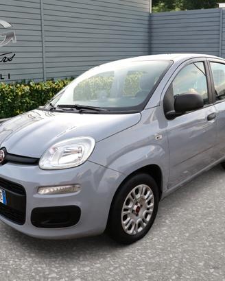 FIAT Panda 1.0cc Firefly 70cv s&s Hybrid 5 Posti