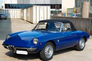 ALFA ROMEO Spider 1300 Junior, osso di seppia