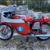 Mv Agusta 350 sport