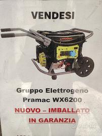 Generatore elettrico Pramak