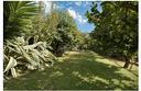 villa-come-nuova-con-giardino-vista-aperta