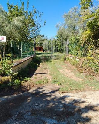 San Potito Ultra. Noccioleto specializzato