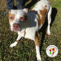 ZOIA quel musino pieno di speranza