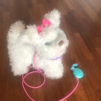 Gogo cane interattivo