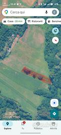 Terreno agricolo