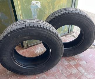 pneumatici Michelin Agilis Camping 225/75 R1