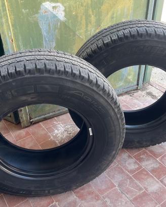 pneumatici Michelin Agilis Camping 225/75 R1